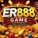 ER888 Game